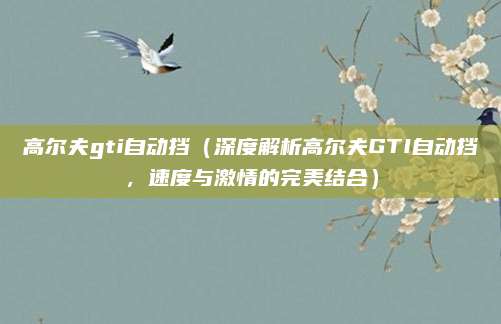 高尔夫gti自动挡（深度解析高尔夫GTI自动挡，速度与激情的完美结合）