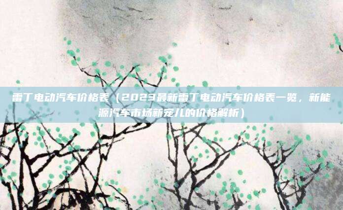 雷丁电动汽车价格表(2023最新雷丁电动汽车价格表一览,新能源汽车市场新宠儿的价格解析)