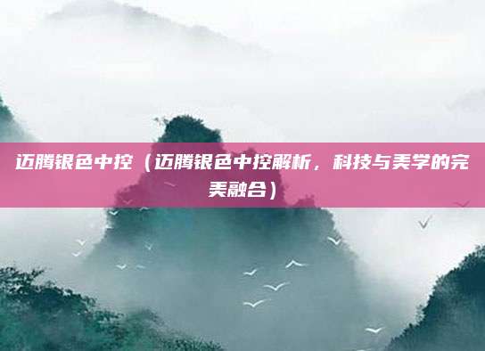 迈腾银色中控（迈腾银色中控解析，科技与美学的完美融合）