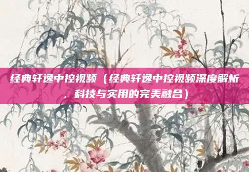 经典轩逸中控视频(经典轩逸中控视频深度解析,科技与实用的完美融合)