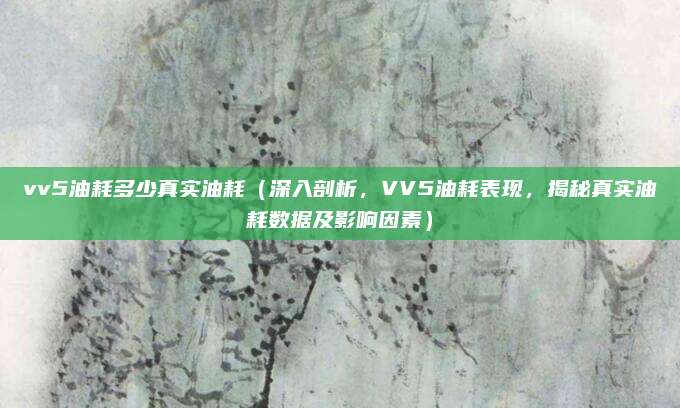vv5油耗多少真实油耗（深入剖析，VV5油耗表现，揭秘真实油耗数据及影响因素）