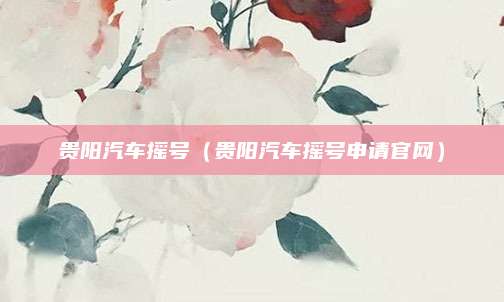 贵阳汽车摇号（贵阳汽车摇号申请官网）