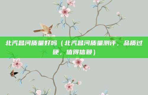 北汽昌河质量好吗(北汽昌河质量测评,品质过硬,值得信赖)