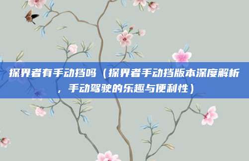 探界者有手动挡吗（探界者手动挡版本深度解析，手动驾驶的乐趣与便利性）
