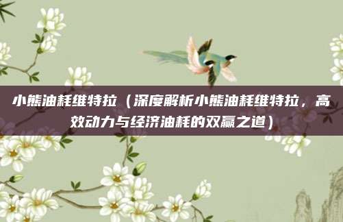 小熊油耗维特拉(深度解析小熊油耗维特拉,高效动力与经济油耗的双赢之道)