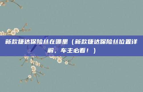 新款捷达保险丝在哪里(新款捷达保险丝位置详解,车主必看!)