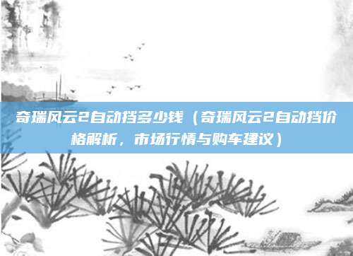 奇瑞风云2自动挡多少钱(奇瑞风云2自动挡价格解析,市场行情与购车建议)