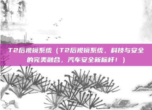 T2后视镜系统(T2后视镜系统,科技与安全的完美融合,汽车安全新标杆!)