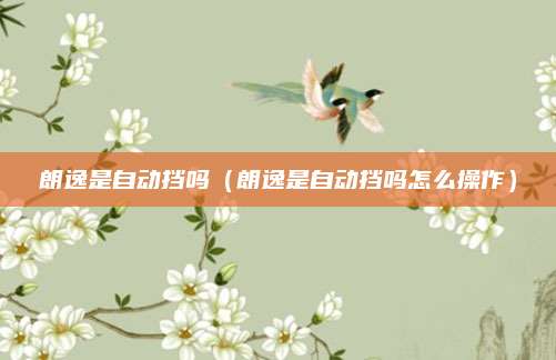 朗逸是自动挡吗(朗逸是自动挡吗怎么操作)