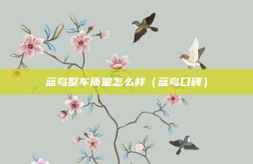 蓝鸟整车质量怎么样(蓝鸟口碑)