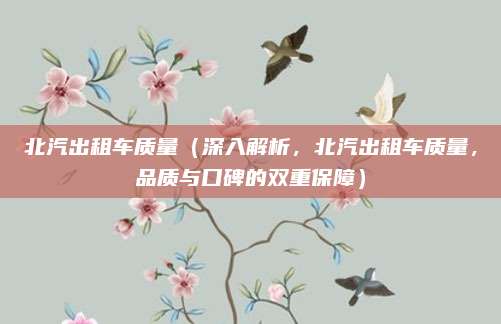 北汽出租车质量(深入解析,北汽出租车质量,品质与口碑的双重保障)