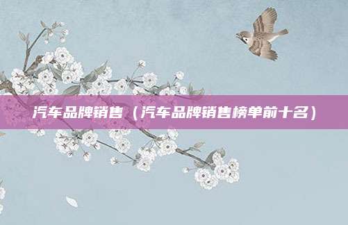 汽车品牌销售(汽车品牌销售榜单前十名)