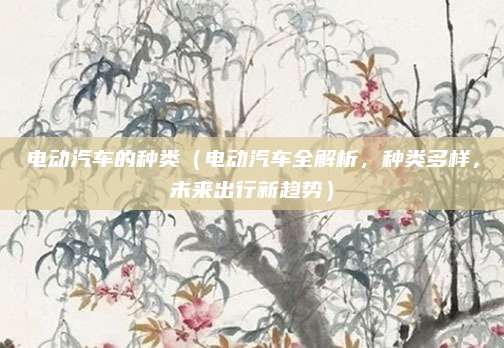 电动汽车的种类(电动汽车全解析,种类多样,未来出行新趋势)