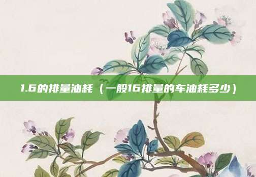 1.6的排量油耗(一般16排量的车油耗多少)
