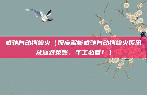 威驰自动挡熄火（深度解析威驰自动挡熄火原因及应对策略，车主必看！）
