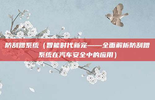防刮蹭系统(智能时代新宠——全面解析防刮蹭系统在汽车安全中的应用)