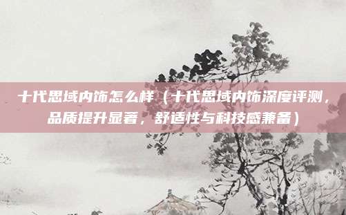 十代思域内饰怎么样(十代思域内饰深度评测,品质提升显著,舒适性与科技感兼备)