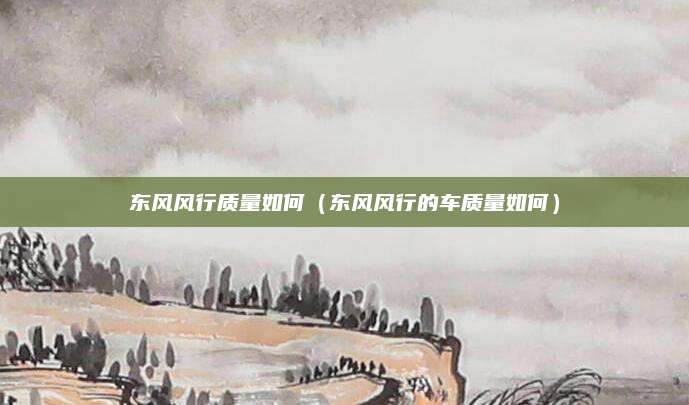 东风风行质量如何(东风风行的车质量如何)