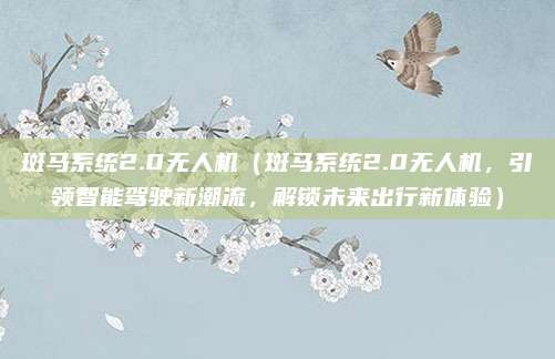 斑马系统2.0无人机(斑马系统2.0无人机,引领智能驾驶新潮流,解锁未来出行新体验)