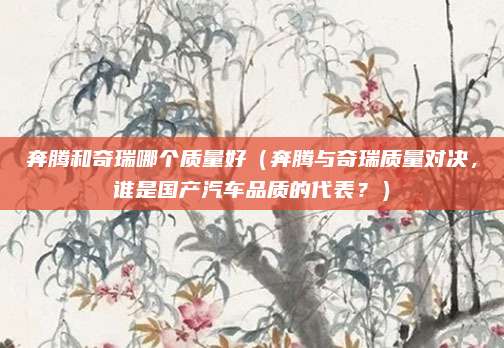 奔腾和奇瑞哪个质量好(奔腾与奇瑞质量对决,谁是国产汽车品质的代表?)