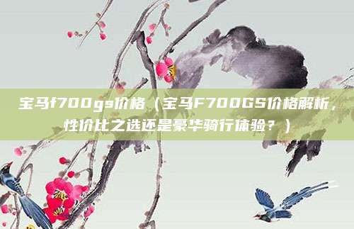 宝马f700gs价格（宝马F700GS价格解析，性价比之选还是豪华骑行体验？）