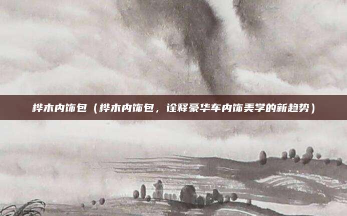 桦木内饰包（桦木内饰包，诠释豪华车内饰美学的新趋势）