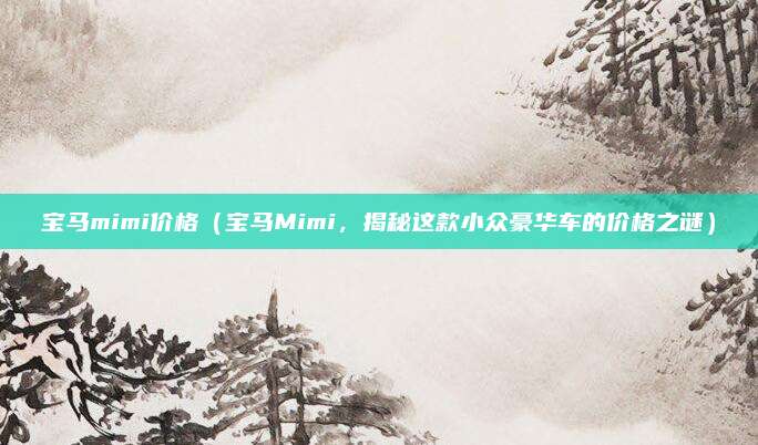 宝马mimi价格(宝马Mimi,揭秘这款小众豪华车的价格之谜)
