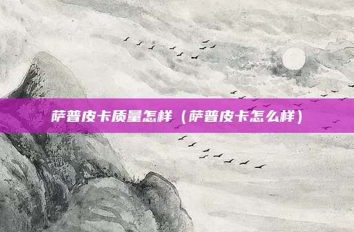 萨普皮卡质量怎样(萨普皮卡怎么样)