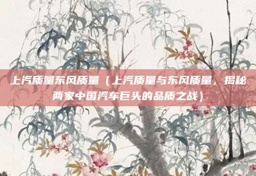 上汽质量东风质量(上汽质量与东风质量,揭秘两家中国汽车巨头的品质之战)