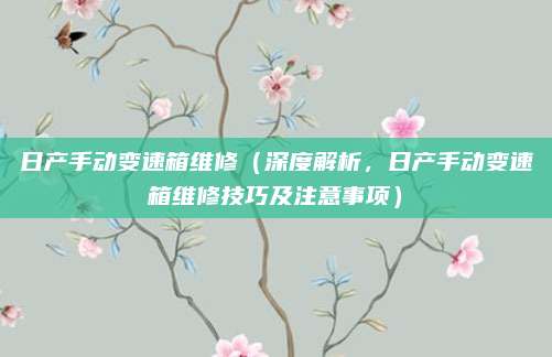 日产手动变速箱维修(深度解析,日产手动变速箱维修技巧及注意事项)