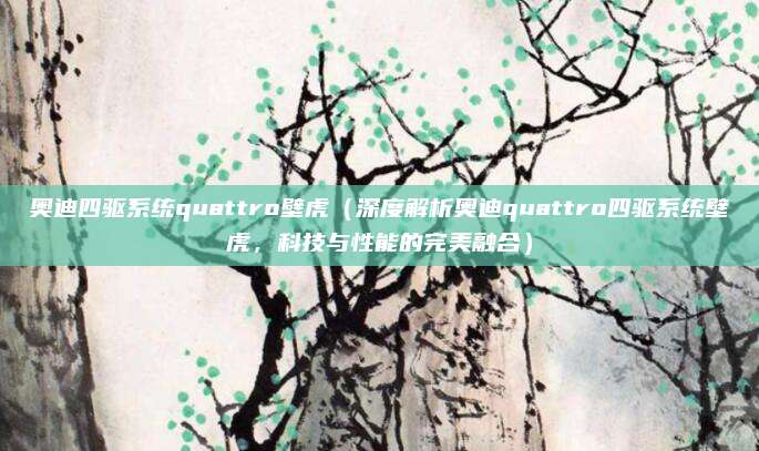 奥迪四驱系统quattro壁虎(深度解析奥迪quattro四驱系统壁虎,科技与性能的完美融合)