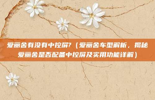 爱丽舍有没有中控屏?(爱丽舍车型解析,揭秘爱丽舍是否配备中控屏及实用功能详解)