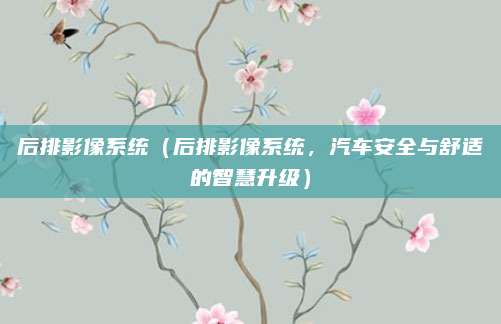 后排影像系统（后排影像系统，汽车安全与舒适的智慧升级）