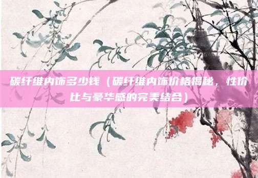 碳纤维内饰多少钱(碳纤维内饰价格揭秘,性价比与豪华感的完美结合)