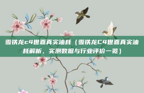 雪铁龙c4世嘉真实油耗(雪铁龙C4世嘉真实油耗解析,实测数据与行业评价一览)