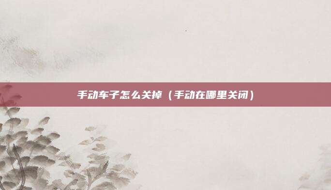手动车子怎么关掉(手动在哪里关闭)