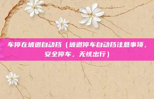 车停在坡道自动挡(坡道停车自动挡注意事项,安全停车,无忧出行)