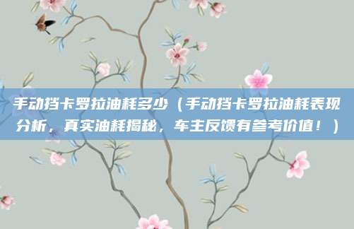 手动挡卡罗拉油耗多少（手动挡卡罗拉油耗表现分析，真实油耗揭秘，车主反馈有参考价值！）