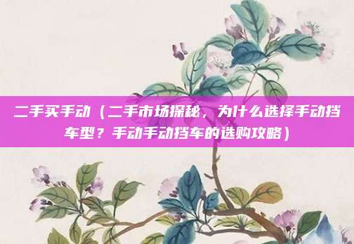 二手买手动(二手市场探秘,为什么选择手动挡车型?手动手动挡车的选购攻略)