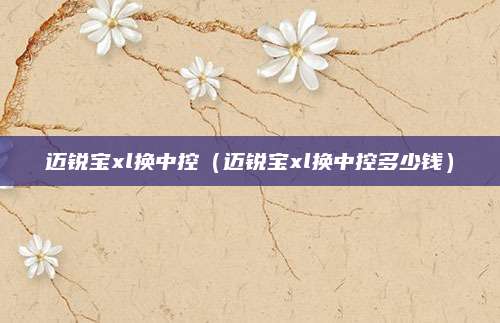 迈锐宝xl换中控(迈锐宝xl换中控多少钱)