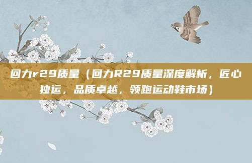 回力r29质量（回力R29质量深度解析，匠心独运，品质卓越，领跑运动鞋市场）