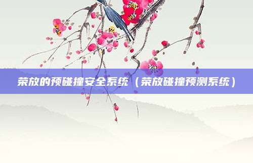 荣放的预碰撞安全系统(荣放碰撞预测系统)