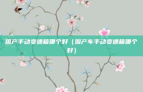 国产手动变速箱哪个好(国产车手动变速箱哪个好)