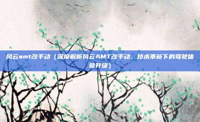 风云amt改手动（深度解析风云AMT改手动，技术革新下的驾驶体验升级）