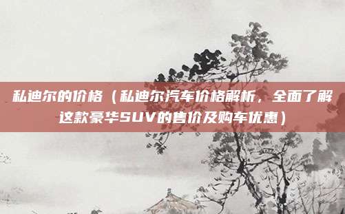 私迪尔的价格(私迪尔汽车价格解析,全面了解这款豪华SUV的售价及购车优惠)