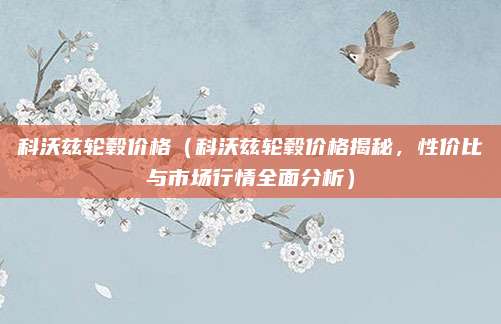科沃兹轮毂价格(科沃兹轮毂价格揭秘,性价比与市场行情全面分析)