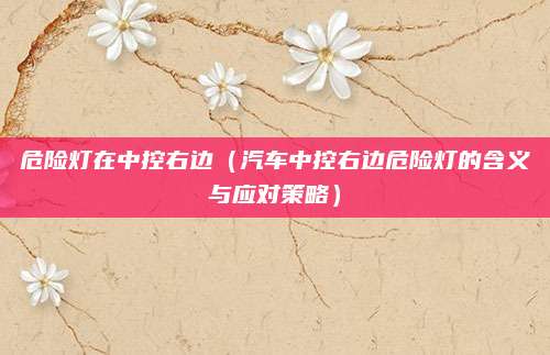 危险灯在中控右边（汽车中控右边危险灯的含义与应对策略）