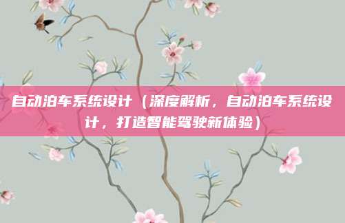 自动泊车系统设计（深度解析，自动泊车系统设计，打造智能驾驶新体验）