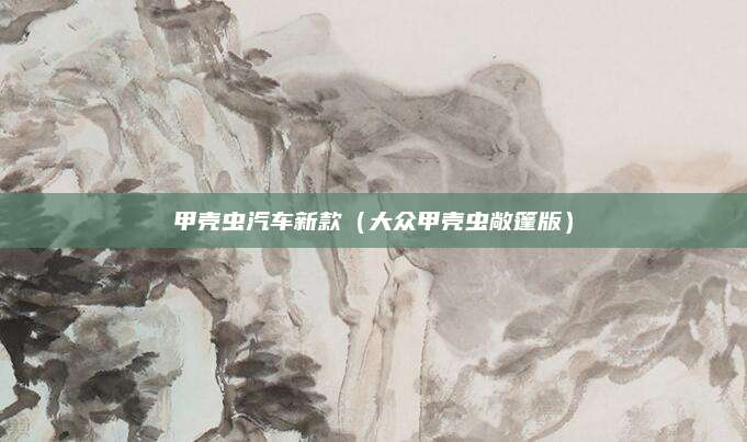 甲壳虫汽车新款(大众甲壳虫敞篷版)