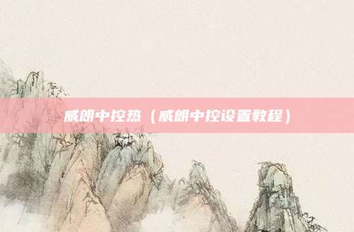 威朗中控热(威朗中控设置教程)